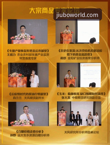 如何高效掌握九博国际娱乐平台使用指南？专业分析师深度解析